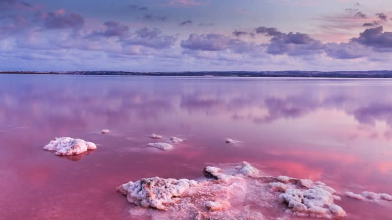 whatsapp image 2026 03 13 at 18.37.19 (3)