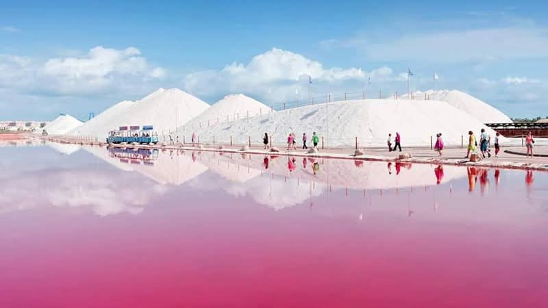 whatsapp image 2026 03 13 at 18.37.19 (4)