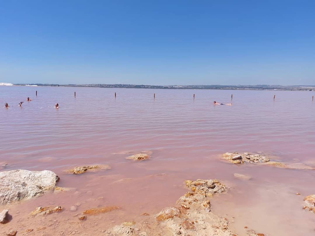 whatsapp image 2026 03 13 at 18.37.21 (1)