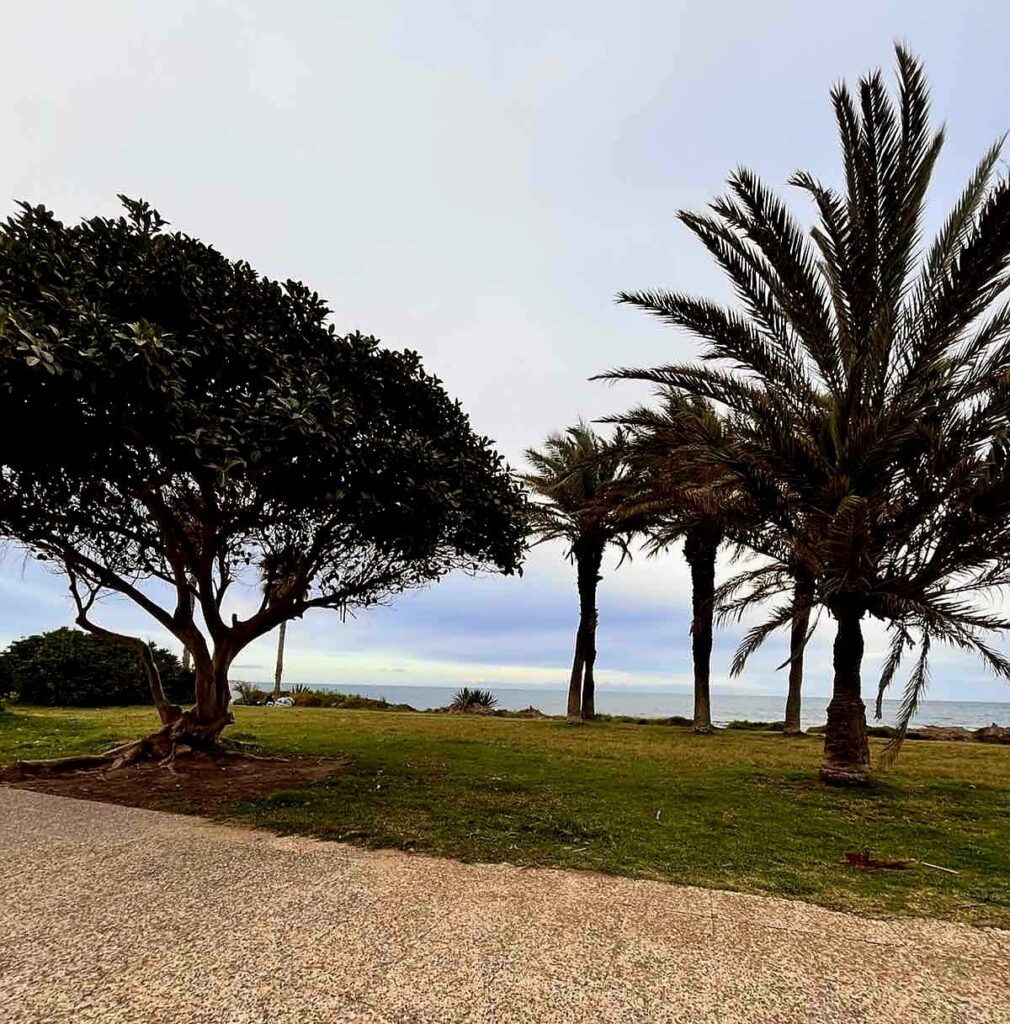 whatsapp image 2026 03 10 at 17.47.03 (3)