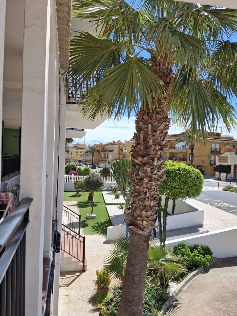 whatsapp image 2026 03 10 at 17.47.04 (2)