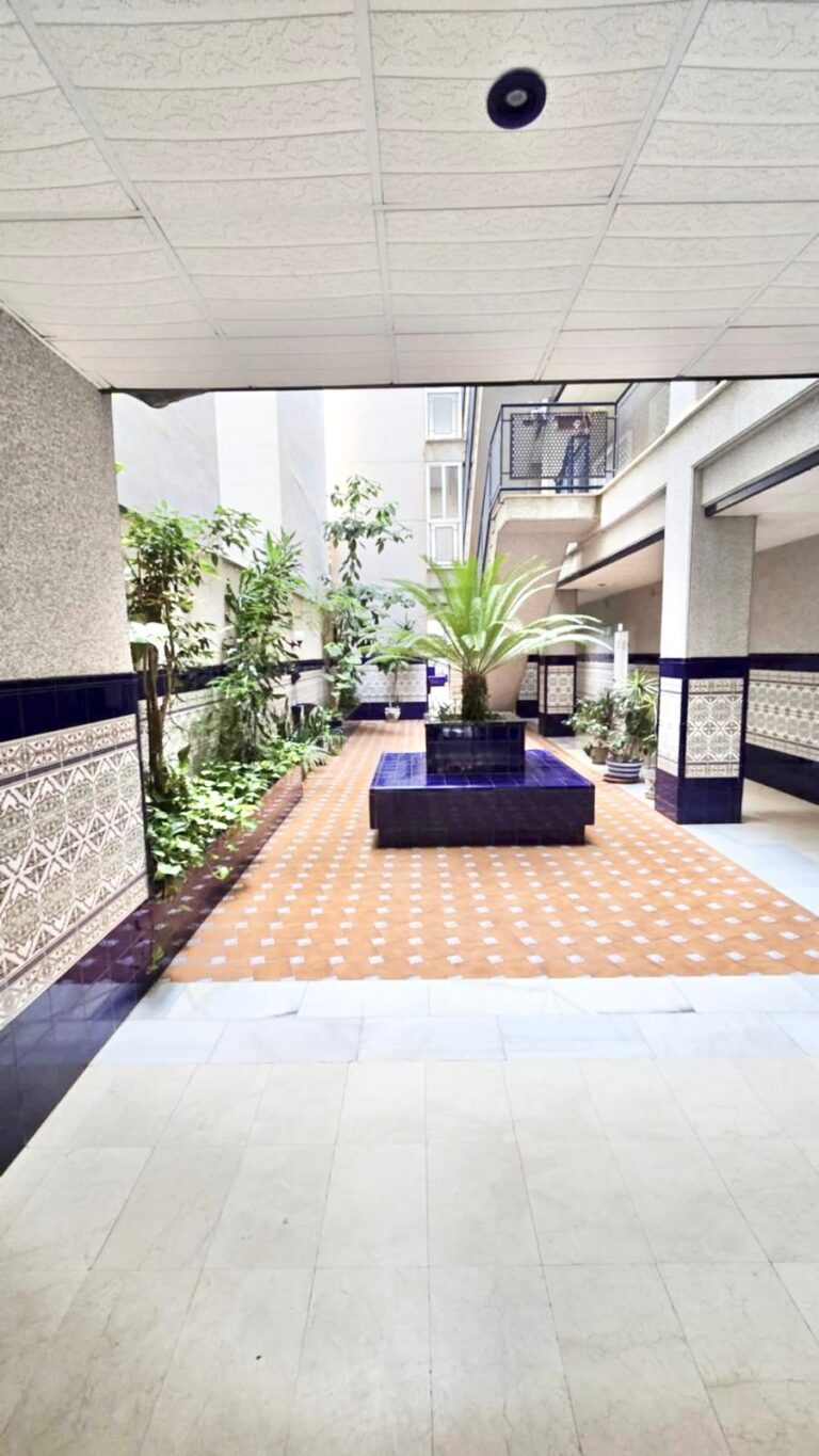 whatsapp image 2026 03 17 at 16.56.04