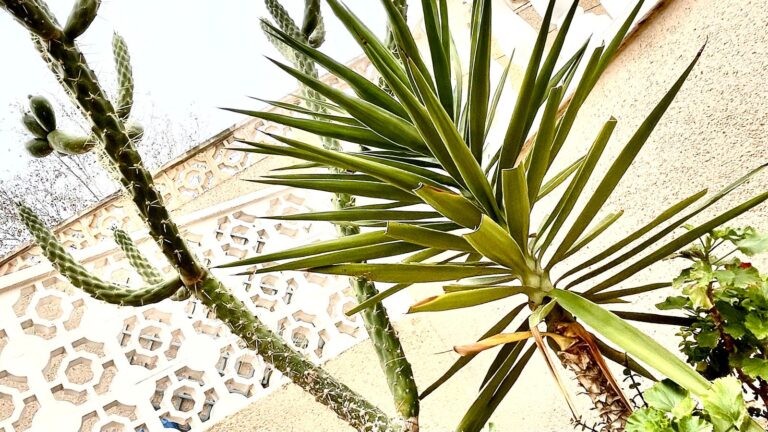 whatsapp image 2026 03 25 at 15.02.42 (14)