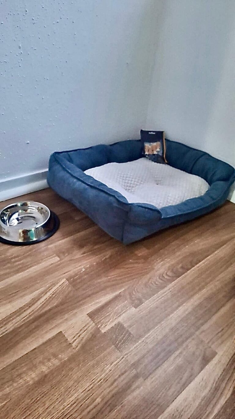 Sirenas whatsapp image 2026 03 25 at 18.13.01 (8)